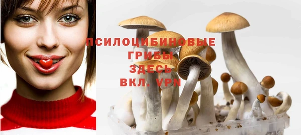 стаф Абдулино