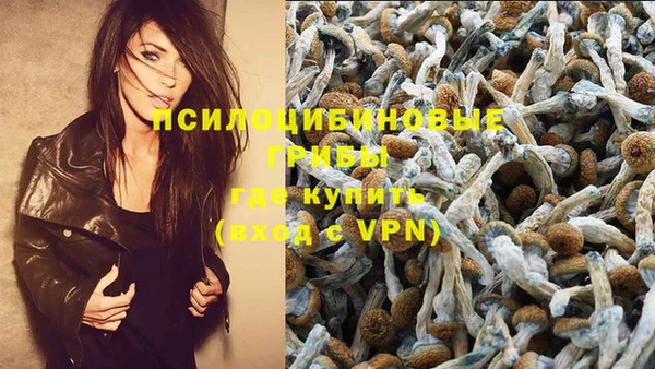 стаф Абдулино