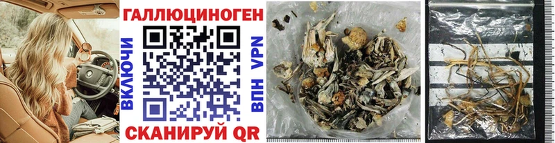 Галлюциногенные грибы MAGIC MUSHROOMS Богородицк